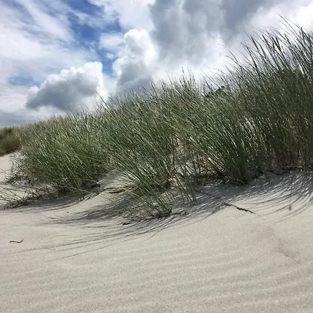 Logierhaus Friedrich We 9 - 